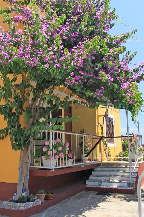 Apartments By The Sea Sali, Dugi Otok - 8110 Ngoại thất bức ảnh